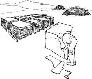 سرو کوارنتا فیلیتا FILITA