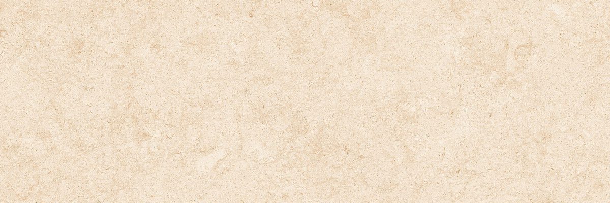 cerocuarenta cenia camel