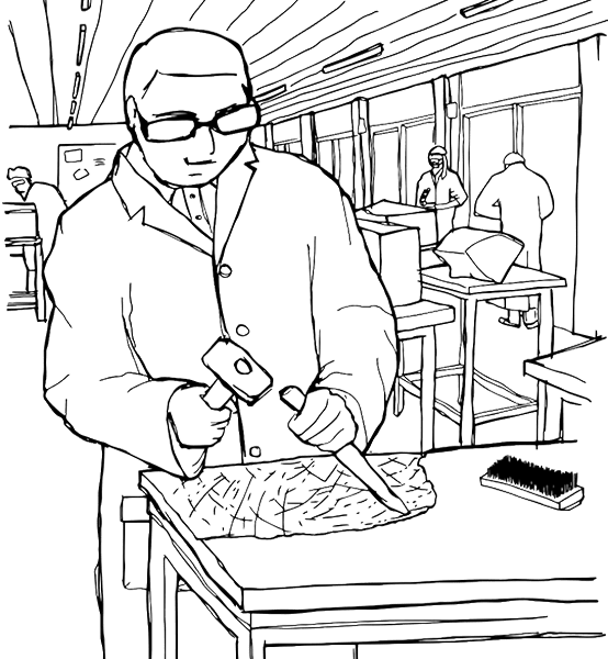 سروکوارنتا cerocuarenta cenia