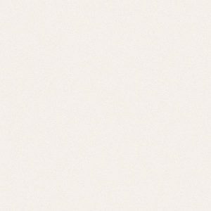 کرگرس باسالتو Basalto Bone Polished Glossy