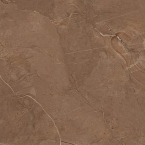 کاشی کرگرس ابر Eber Brown Matt Polished