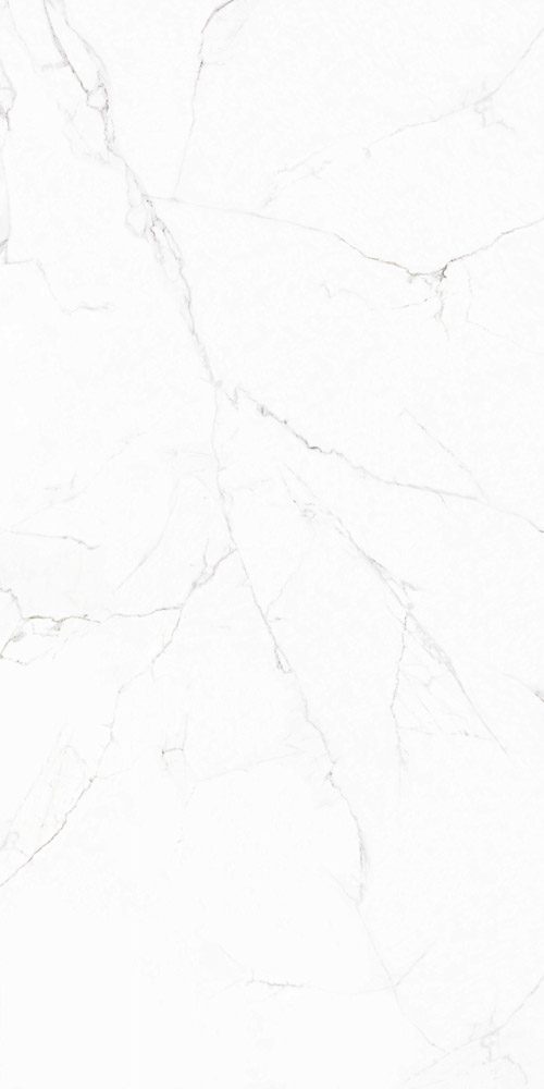 Calacatta Silva FGPB-A5015 Full Polished