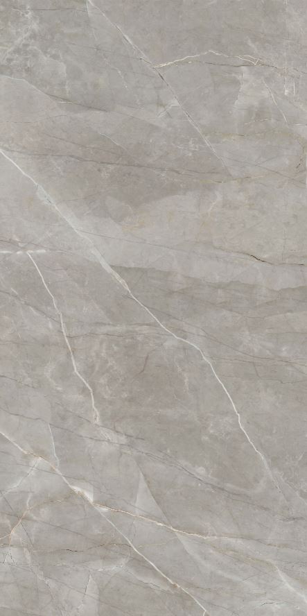 Elegant Grey Marble | FGM-A5195 | Natural