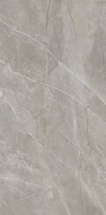 Elegant Grey Marble | FGM-A5195 | Natural