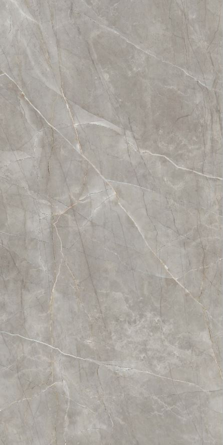 Elegant Grey Marble | FGM-A5195 | Natural