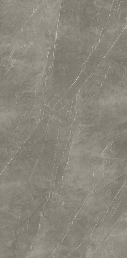 Pietra Grey FGPB-A5040 Full Polished