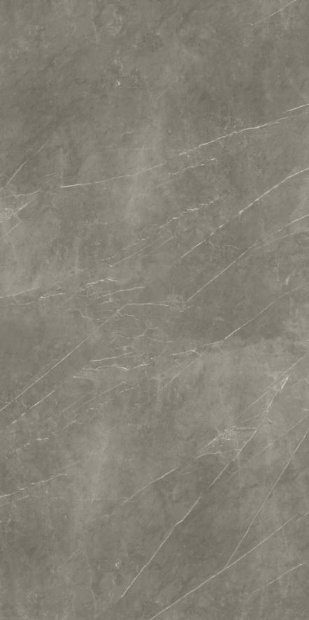 Pietra Grey FGPB-A5040 Full Polished