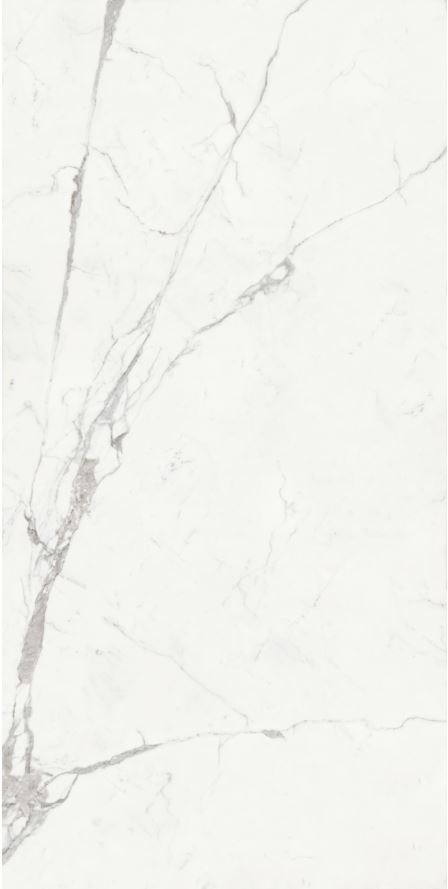 Statuario Venato FGPB-A5020