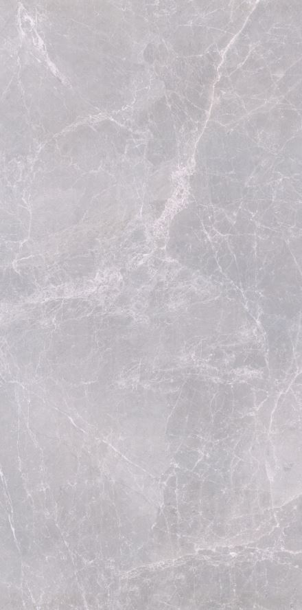 Tundra Light Grey FGPB-A5050 Full Polished