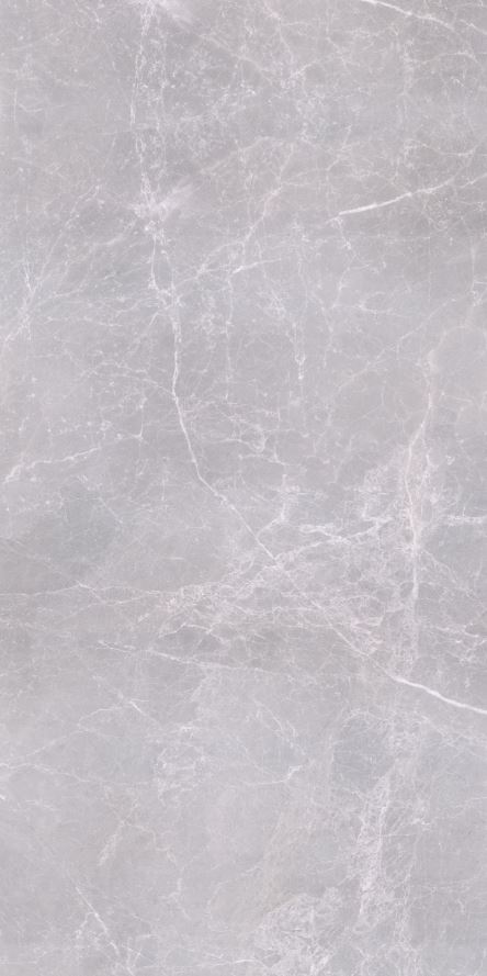 Tundra Light Grey FGPB-A5050 Full Polished