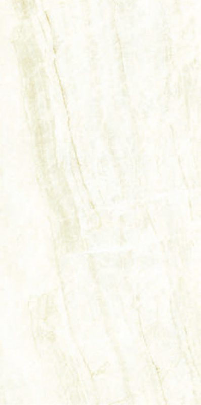 Taj Mahal | FGM-A5205 | Natural