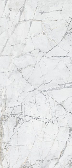 Invisible Gold IM2040L