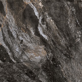 کرگرس تیمور Timor 95x95