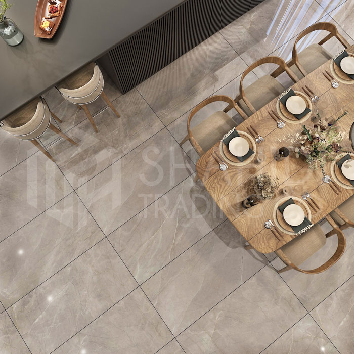 الگانت گری Elegant Grey 60x120