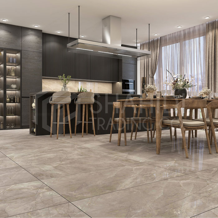 الگانت گری Elegant Grey 60x120