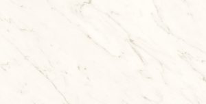 Amadora White Matt 60x120