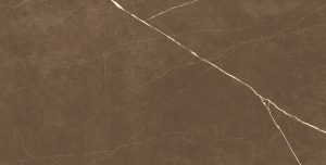 Jupiter Brown 60x120