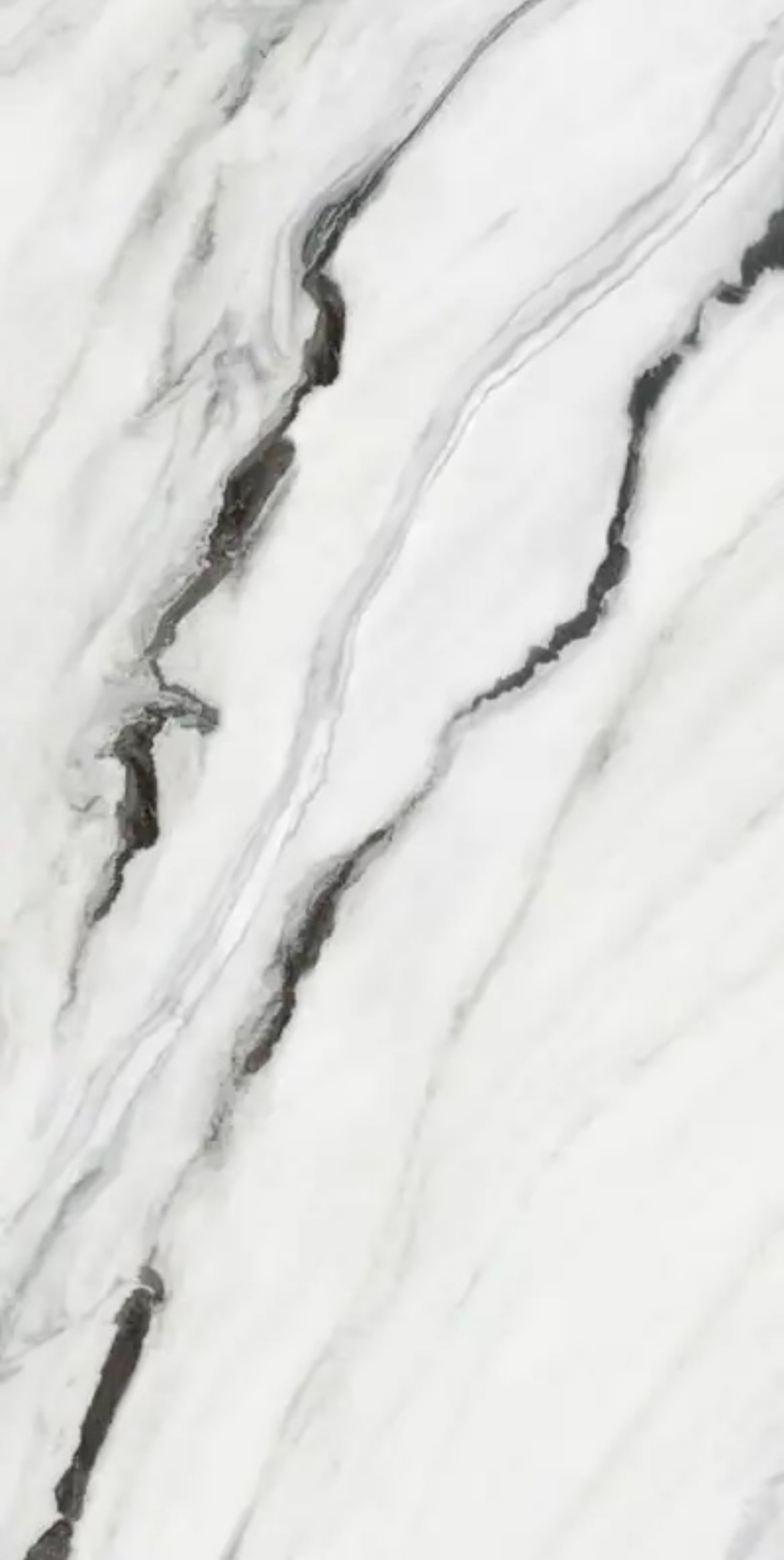 face paradise ceramic