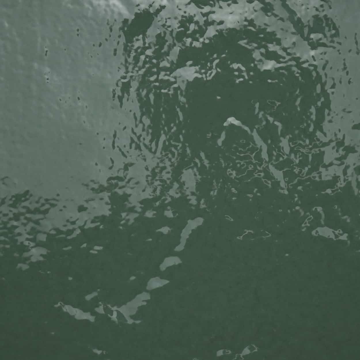 fiji cerocuarenta 15x15