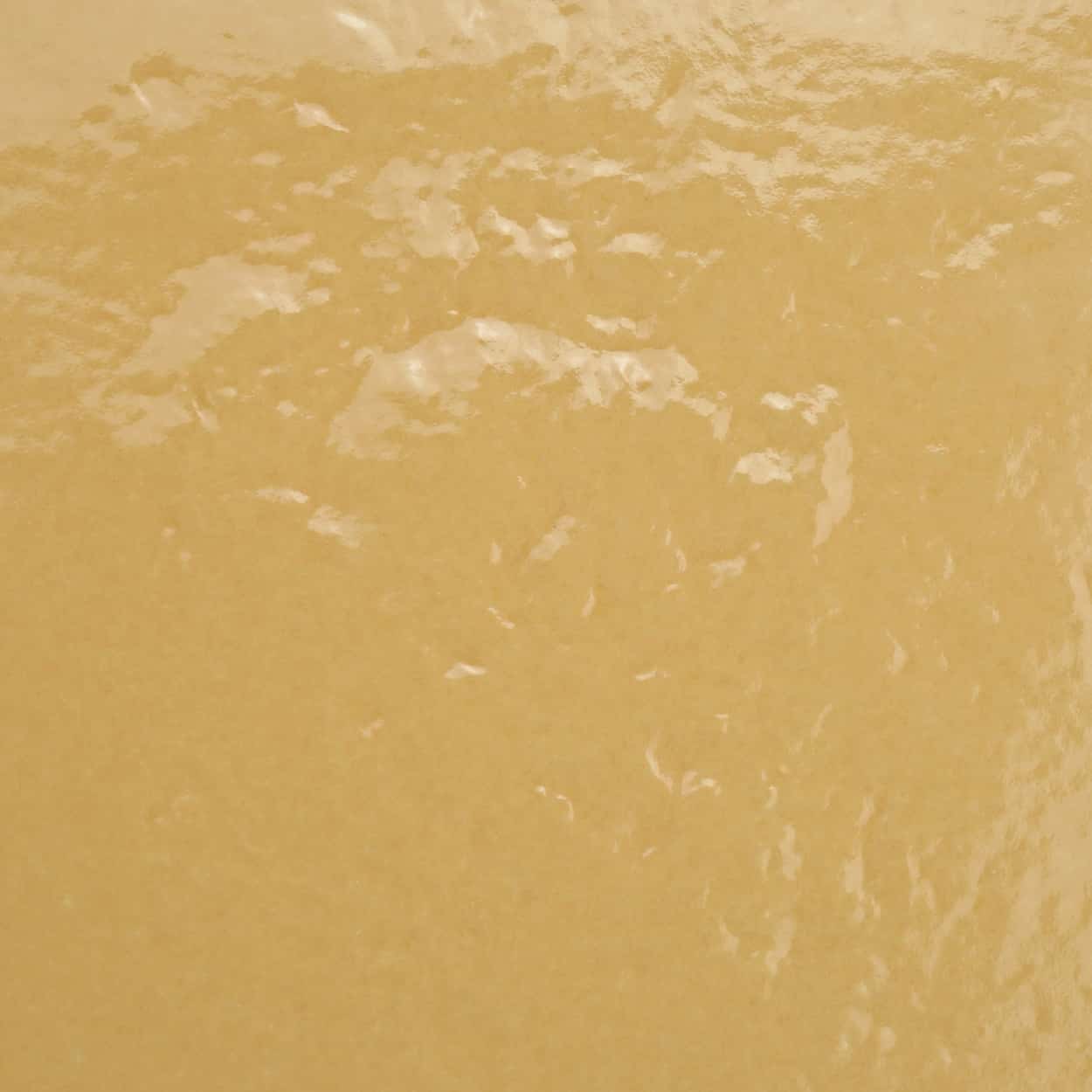 fiji cerocuarenta 15x15